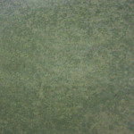 Coast Green