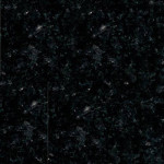 Labrador Black