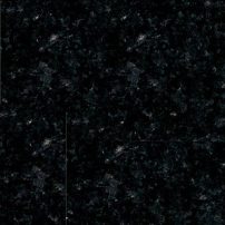 Labrador Black