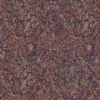 Red Deer Brown