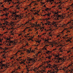 Vanga Red