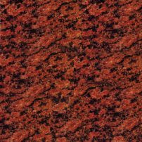 Vanga Red