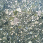 Verde Marinace